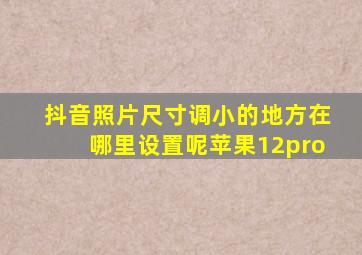 抖音照片尺寸调小的地方在哪里设置呢苹果12pro