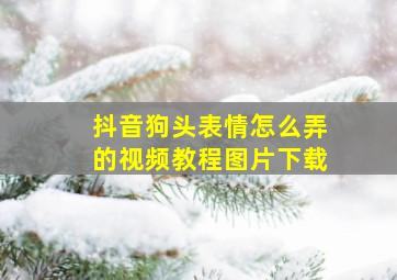 抖音狗头表情怎么弄的视频教程图片下载