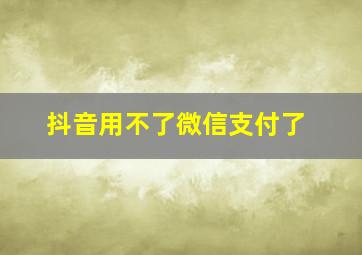 抖音用不了微信支付了