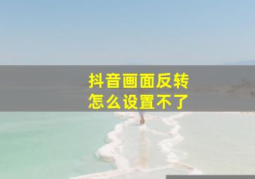 抖音画面反转怎么设置不了