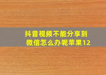 抖音视频不能分享到微信怎么办呢苹果12