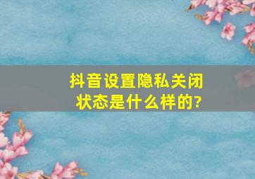 抖音设置隐私关闭状态是什么样的?