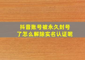 抖音账号被永久封号了怎么解除实名认证呢