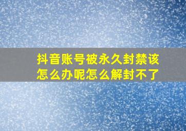 抖音账号被永久封禁该怎么办呢怎么解封不了