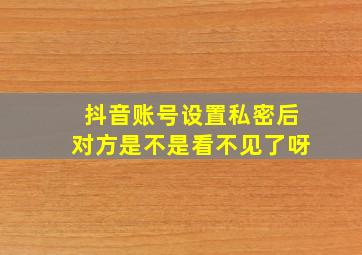 抖音账号设置私密后对方是不是看不见了呀