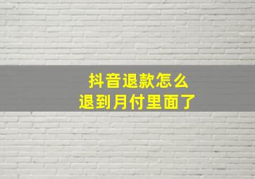 抖音退款怎么退到月付里面了