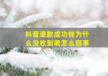 抖音退款成功钱为什么没收到呢怎么回事