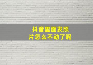 抖音里面发照片怎么不动了呢