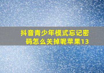 抖音青少年模式忘记密码怎么关掉呢苹果13