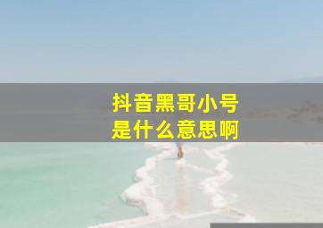 抖音黑哥小号是什么意思啊