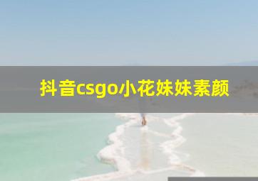 抖音csgo小花妹妹素颜