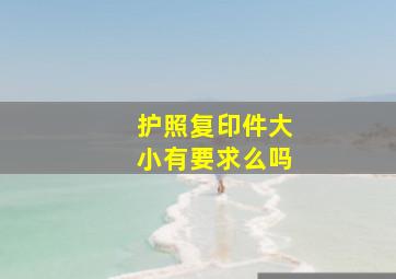 护照复印件大小有要求么吗