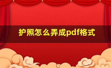 护照怎么弄成pdf格式