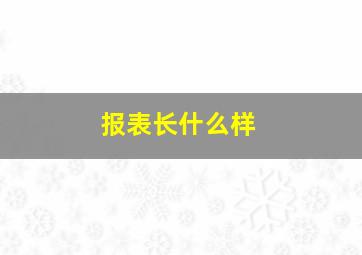 报表长什么样