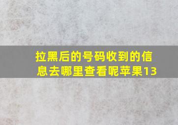 拉黑后的号码收到的信息去哪里查看呢苹果13