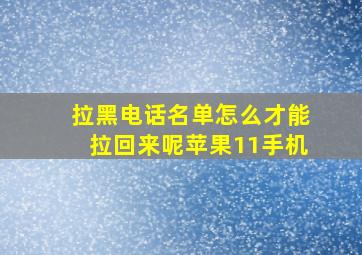 拉黑电话名单怎么才能拉回来呢苹果11手机