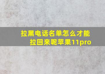 拉黑电话名单怎么才能拉回来呢苹果11pro