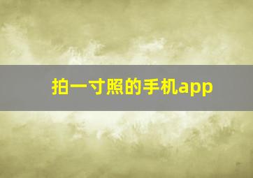 拍一寸照的手机app