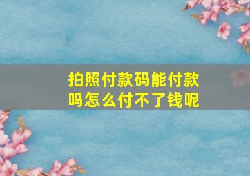 拍照付款码能付款吗怎么付不了钱呢