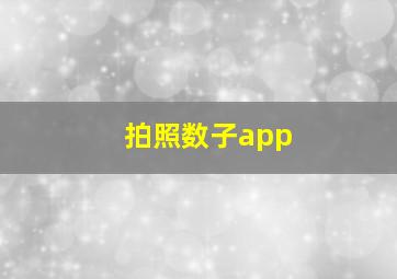 拍照数子app