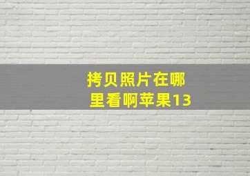 拷贝照片在哪里看啊苹果13