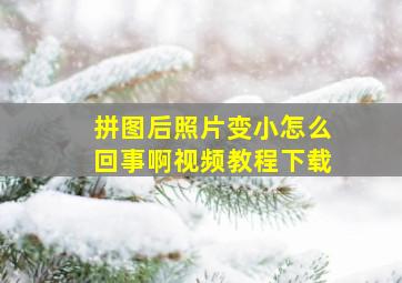 拼图后照片变小怎么回事啊视频教程下载