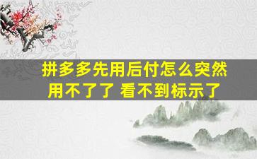 拼多多先用后付怎么突然用不了了 看不到标示了