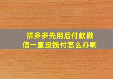 拼多多先用后付款微信一直没钱付怎么办啊