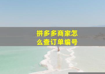 拼多多商家怎么查订单编号