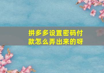 拼多多设置密码付款怎么弄出来的呀