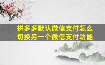 拼多多默认微信支付怎么切换另一个微信支付功能