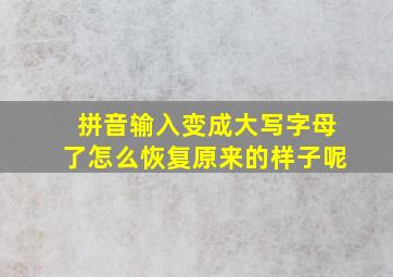 拼音输入变成大写字母了怎么恢复原来的样子呢