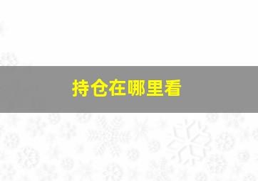 持仓在哪里看