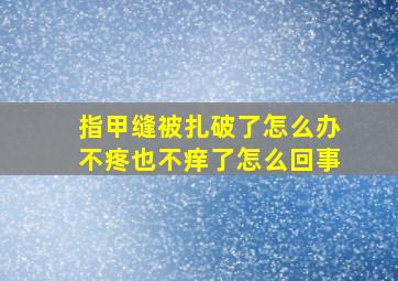 指甲缝被扎破了怎么办不疼也不痒了怎么回事