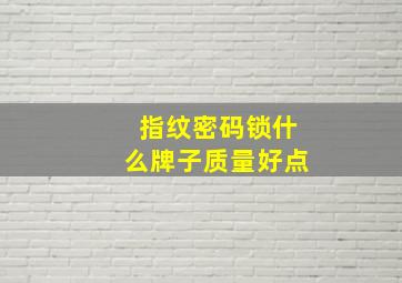 指纹密码锁什么牌子质量好点