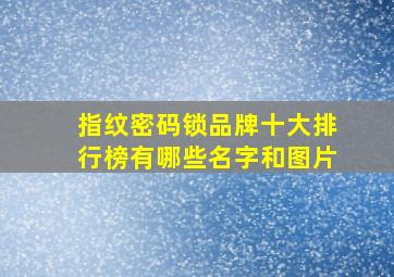 指纹密码锁品牌十大排行榜有哪些名字和图片