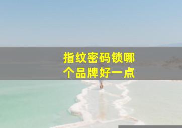 指纹密码锁哪个品牌好一点