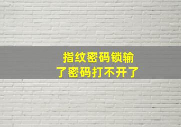 指纹密码锁输了密码打不开了