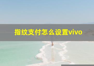 指纹支付怎么设置vivo