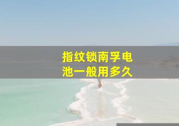 指纹锁南孚电池一般用多久