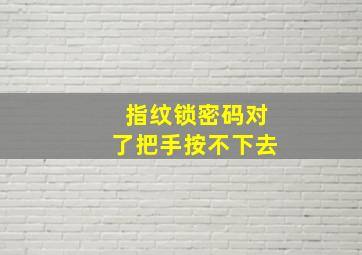 指纹锁密码对了把手按不下去