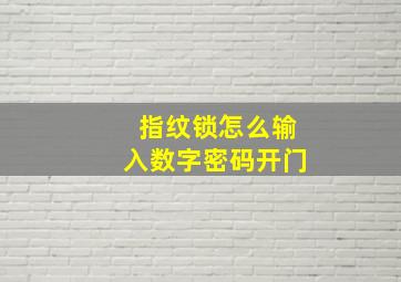 指纹锁怎么输入数字密码开门