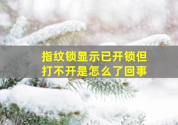 指纹锁显示已开锁但打不开是怎么了回事