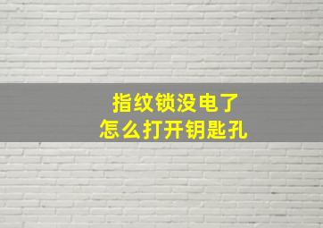 指纹锁没电了怎么打开钥匙孔