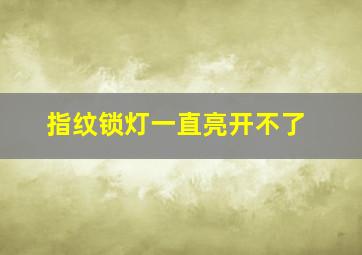 指纹锁灯一直亮开不了