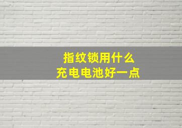 指纹锁用什么充电电池好一点