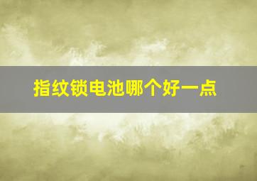 指纹锁电池哪个好一点