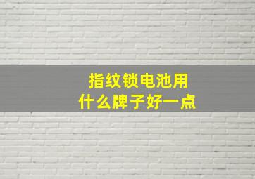 指纹锁电池用什么牌子好一点