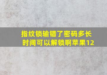 指纹锁输错了密码多长时间可以解锁啊苹果12