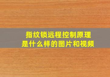 指纹锁远程控制原理是什么样的图片和视频